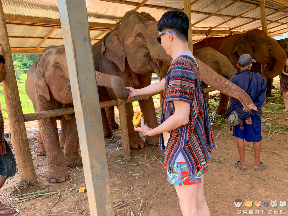 【旅遊】泰國清邁大象保護區體驗營 Elephant Jungle Sanctuary 🐘 來跟大象交朋友吧！