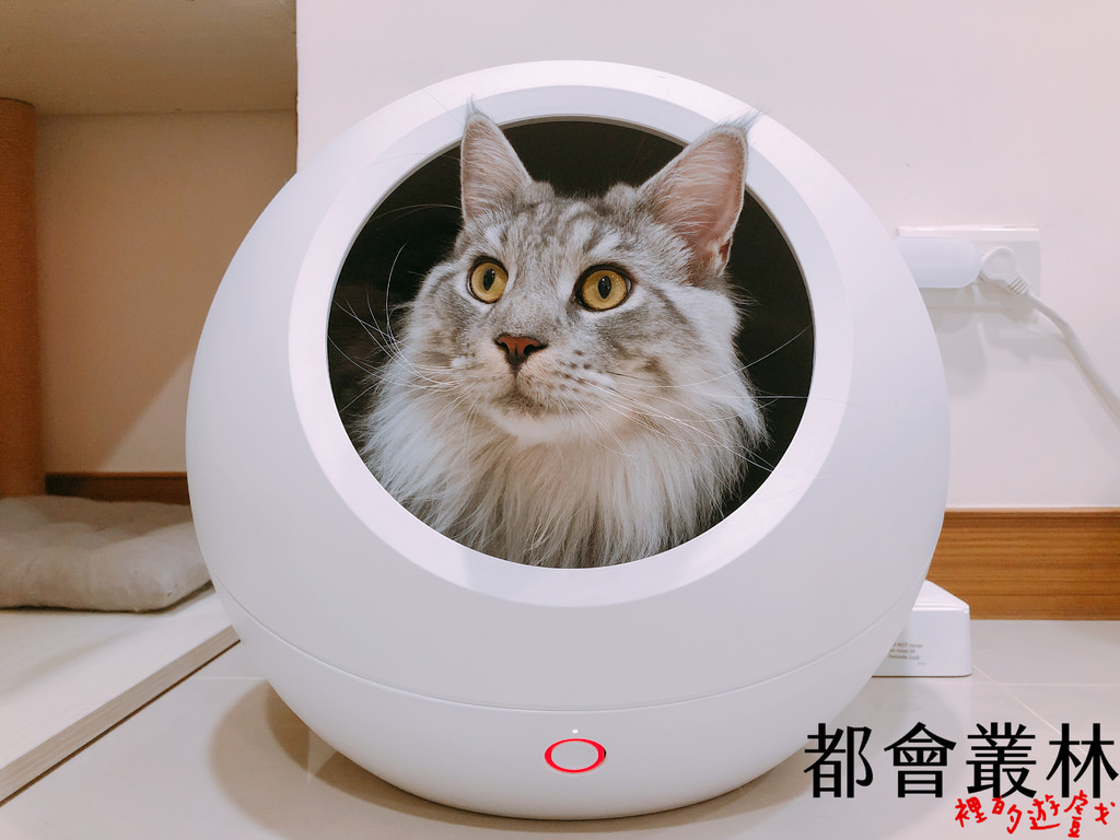 【貓咪用品】Petkit Cozy 佩奇智能寵物冷暖窩